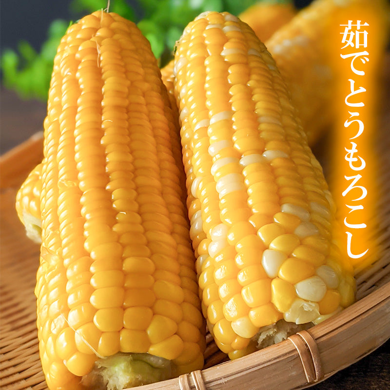 【限定 8/30より出荷】高知県・須崎産とうもろこし 「野獣の一撃」