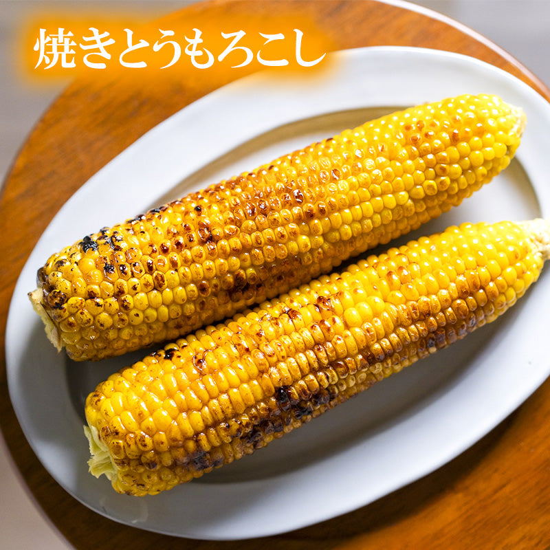 【限定 8/30より出荷】高知県・須崎産とうもろこし 「野獣の一撃」