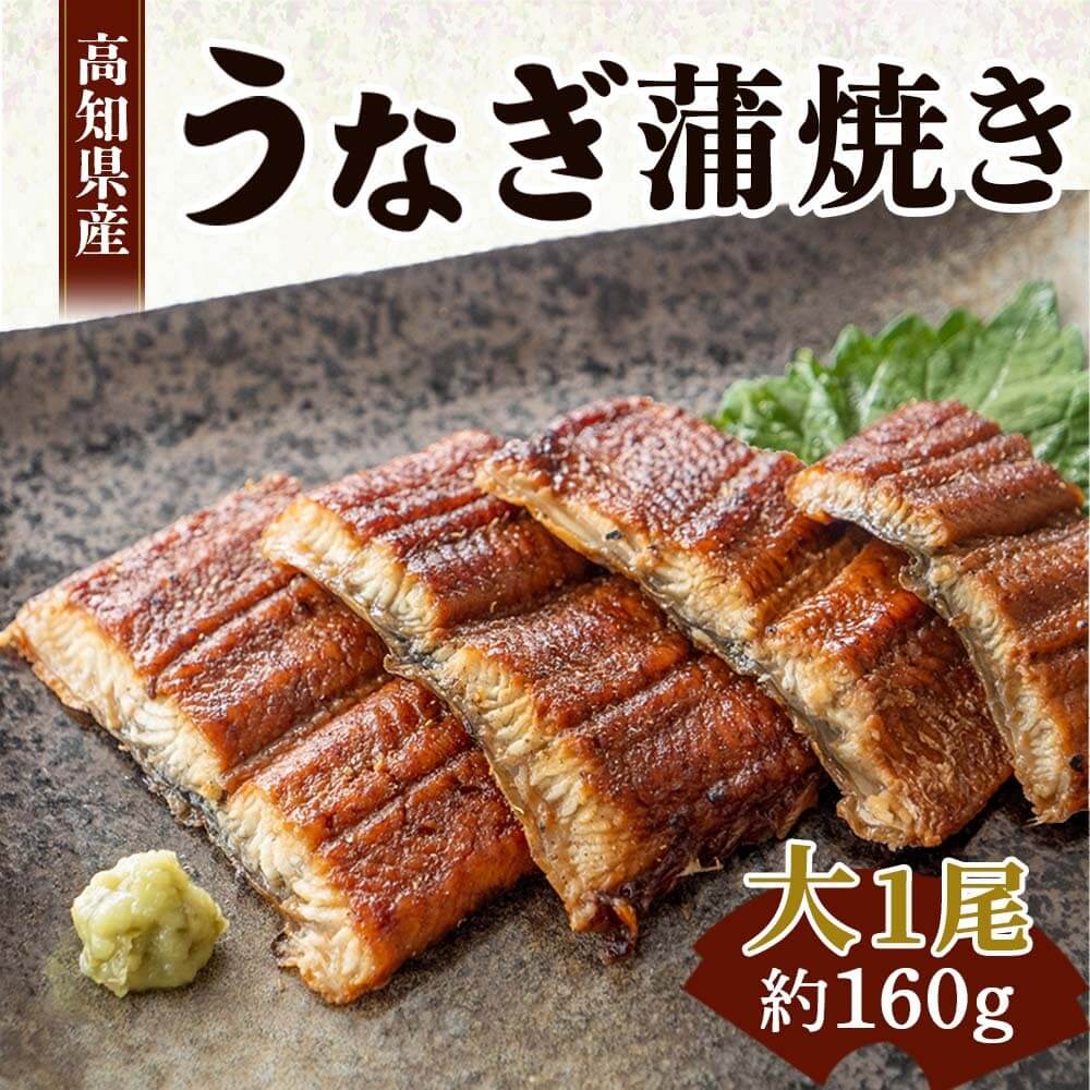 高知県産うなぎ蒲焼き 約160g(有頭)