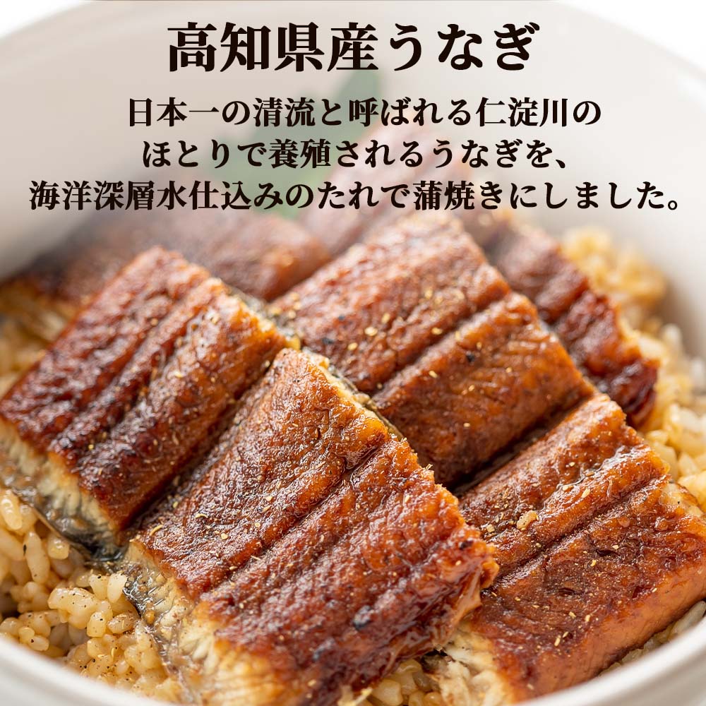 高知県産うなぎ蒲焼き 約160g(有頭)