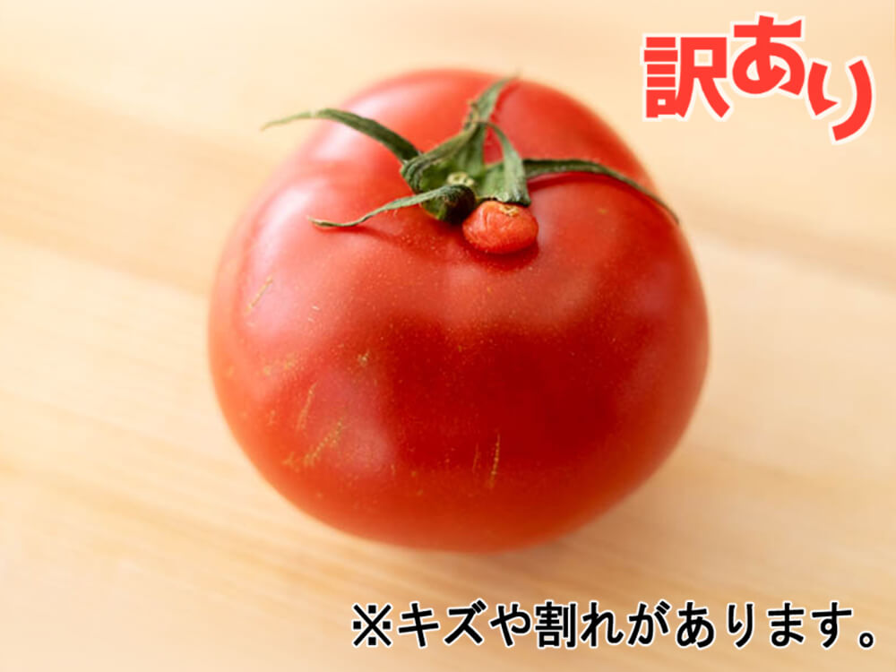 【訳あり】とまっくまのフルーツトマト 1kg【お届け日指定不可】