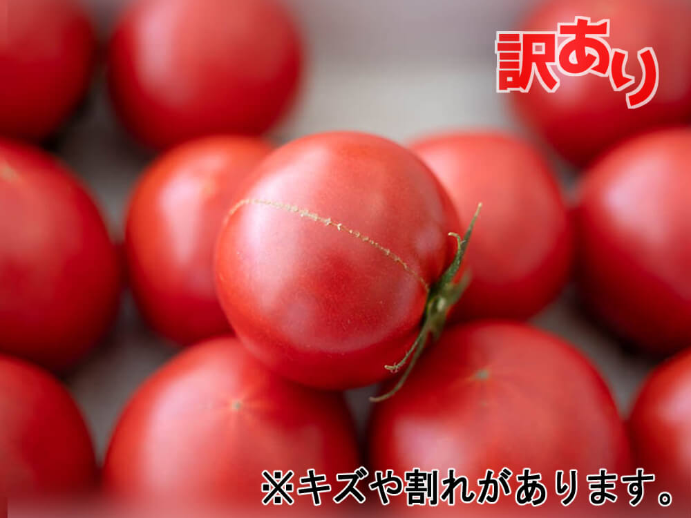 【訳あり】とまっくまのフルーツトマト 1kg【お届け日指定不可】