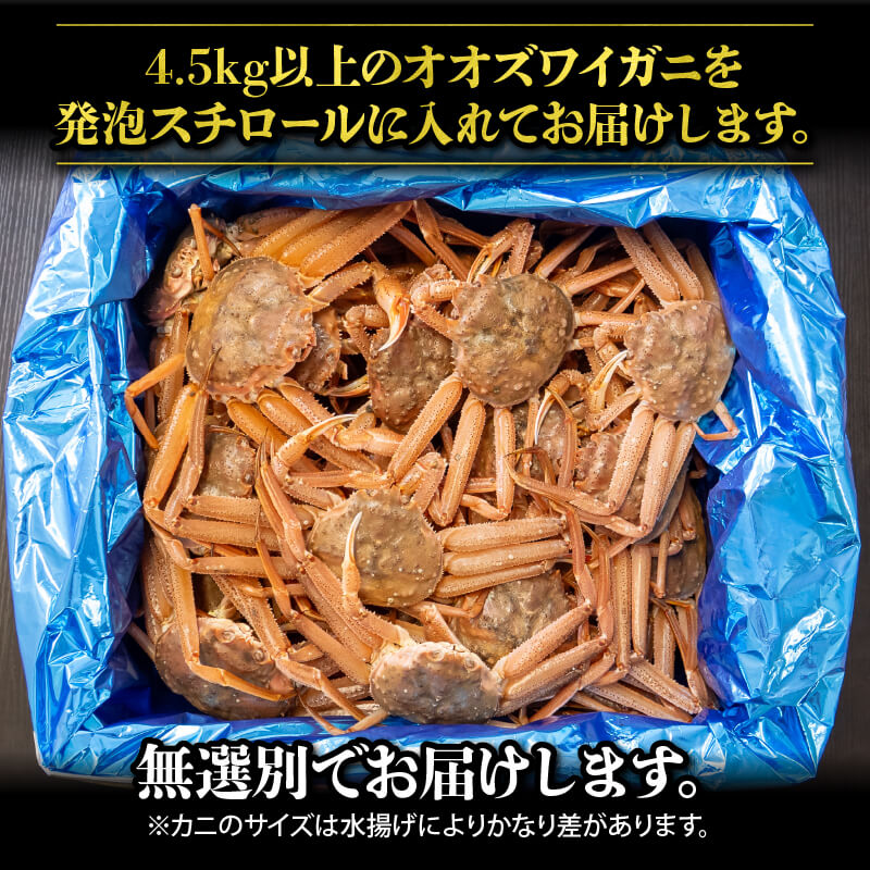 【販売再開!】オオズワイガニ 無選別品 生でお届け! 【お届け日指定不可】
