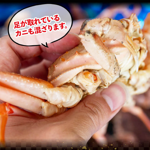 【販売再開!】オオズワイガニ 無選別品 生でお届け! 【お届け日指定不可】