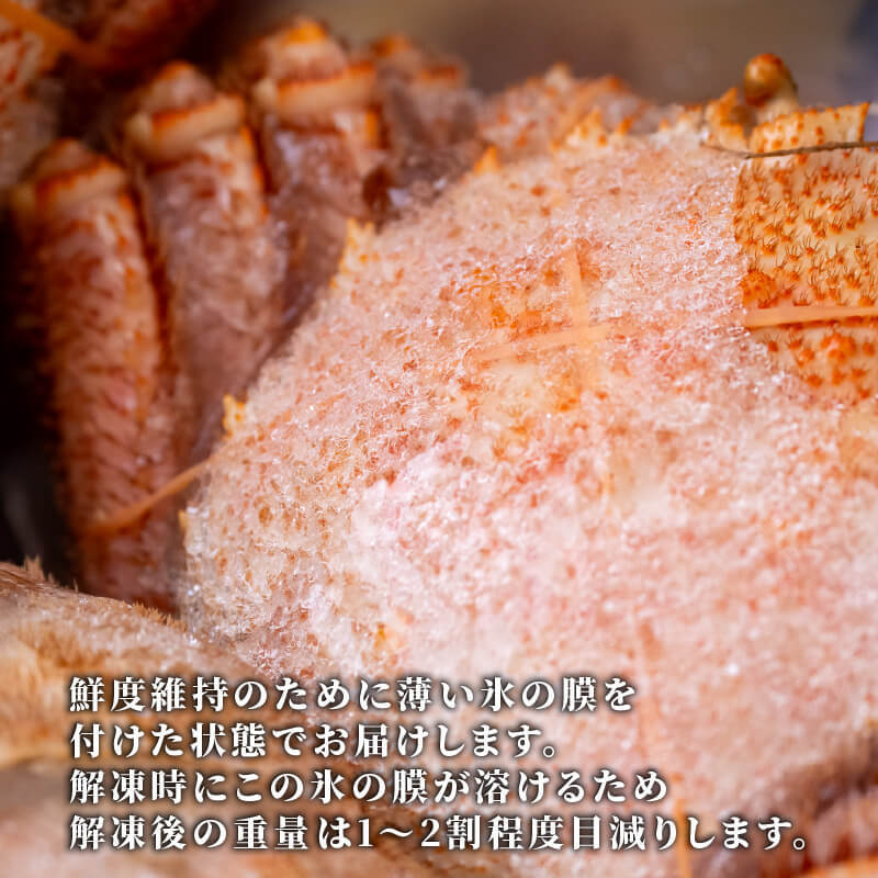 北海道・噴火湾産 浜蒸し毛ガニ 1尾あたり300〜400g