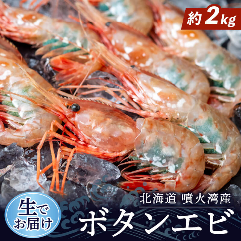 【生でお届け!】北海道・噴火湾産 ボタンエビ 500g〜3kg