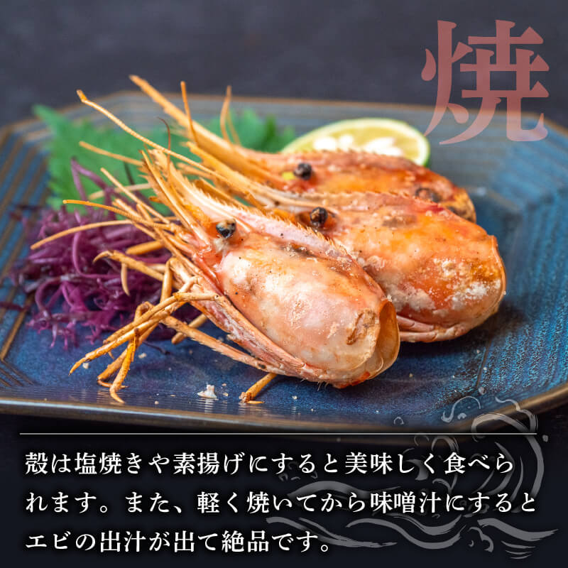 【生でお届け!】北海道・噴火湾産 ボタンエビ 500g〜3kg