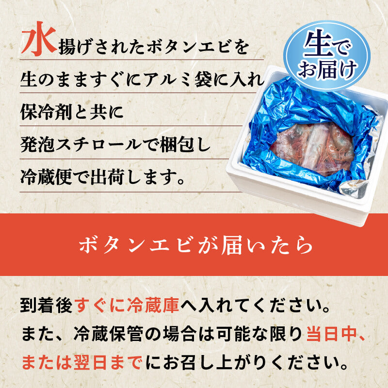 【生でお届け!】北海道・噴火湾産 ボタンエビ 500g〜3kg