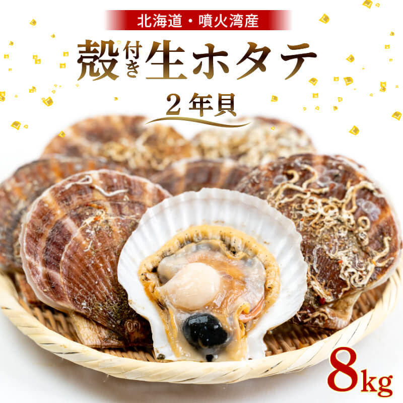 【生でお届け!】 北海道・噴火湾産 ホタテ貝 2年貝 殻付き 2kg〜8kg【貝むきヘラ付き】