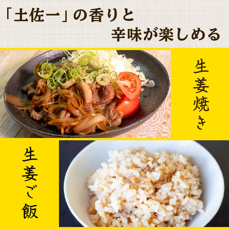 高知県産しょうが 「土佐一(とさいち)」 1kg