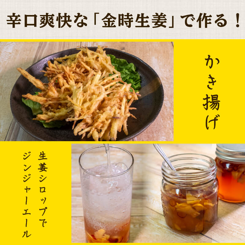 高知県産しょうが 「金時生姜」 1kg