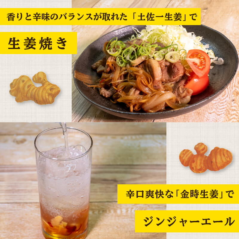 高知県産しょうが 「土佐一」と「金時生姜」セット 2kg(各1kg)