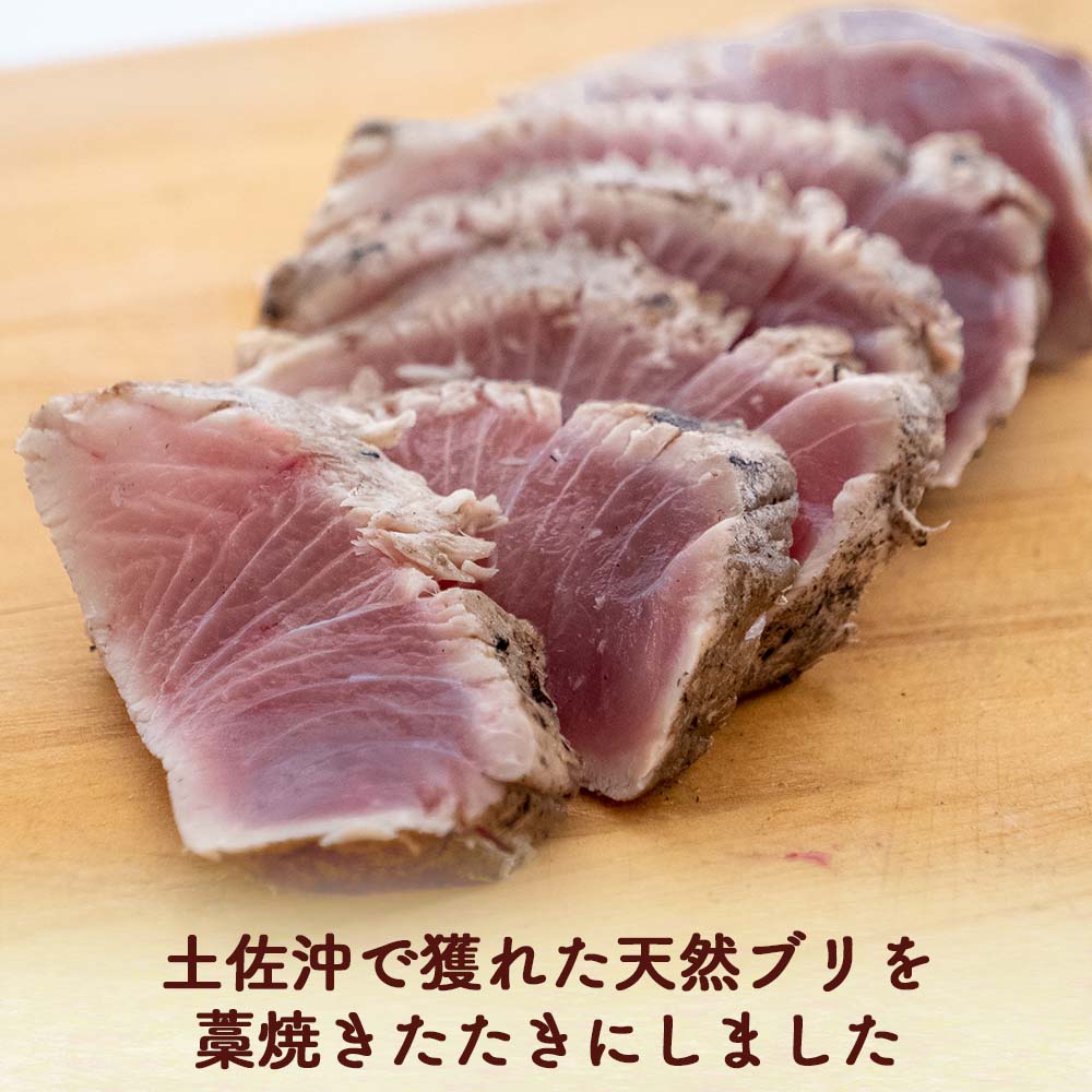 高知県産天然ブリ藁焼きタタキ 5パック【ブリ】