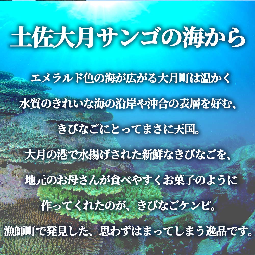きびなごケンピ6袋入り