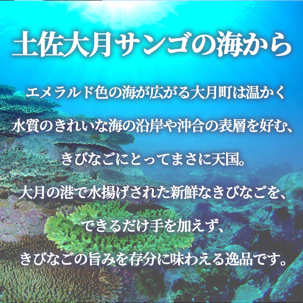 きびなごケンピ4種類7袋ギフトセット