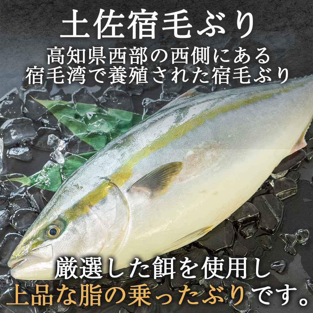 土佐宿毛ぶり まるごと1本【鮮魚】【ブリ】