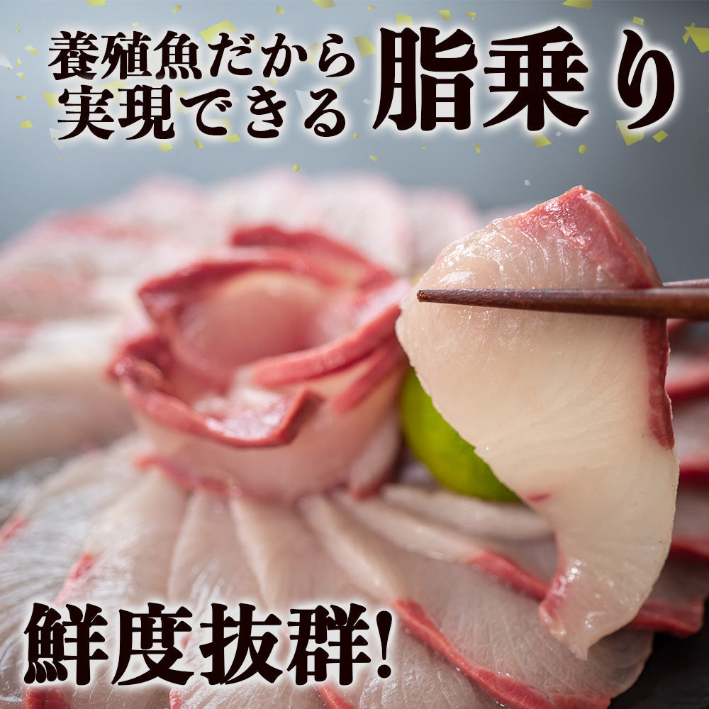 土佐宿毛ぶり まるごと1本【鮮魚】【ブリ】