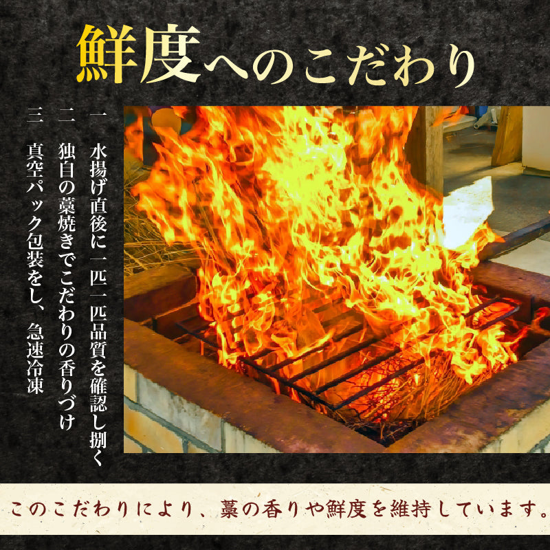 【高知県・大月町産】かつおの藁焼きたたき 約500g