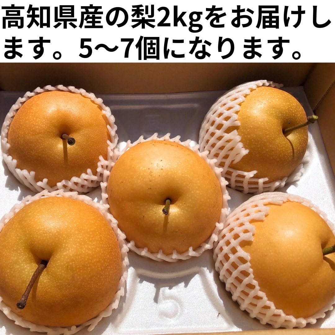 【8月限定】高知県産の梨 2kg(豊水または秋月)【畠山果樹園】【今季終了】