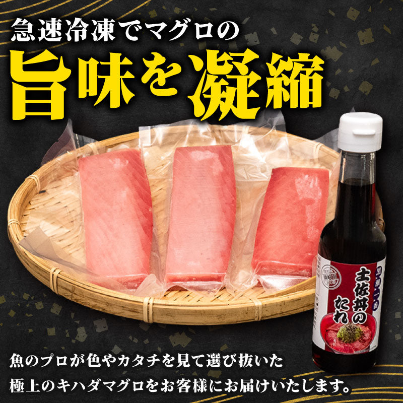 キハダマグロ赤身1kg・土佐丼のたれ150mlセット