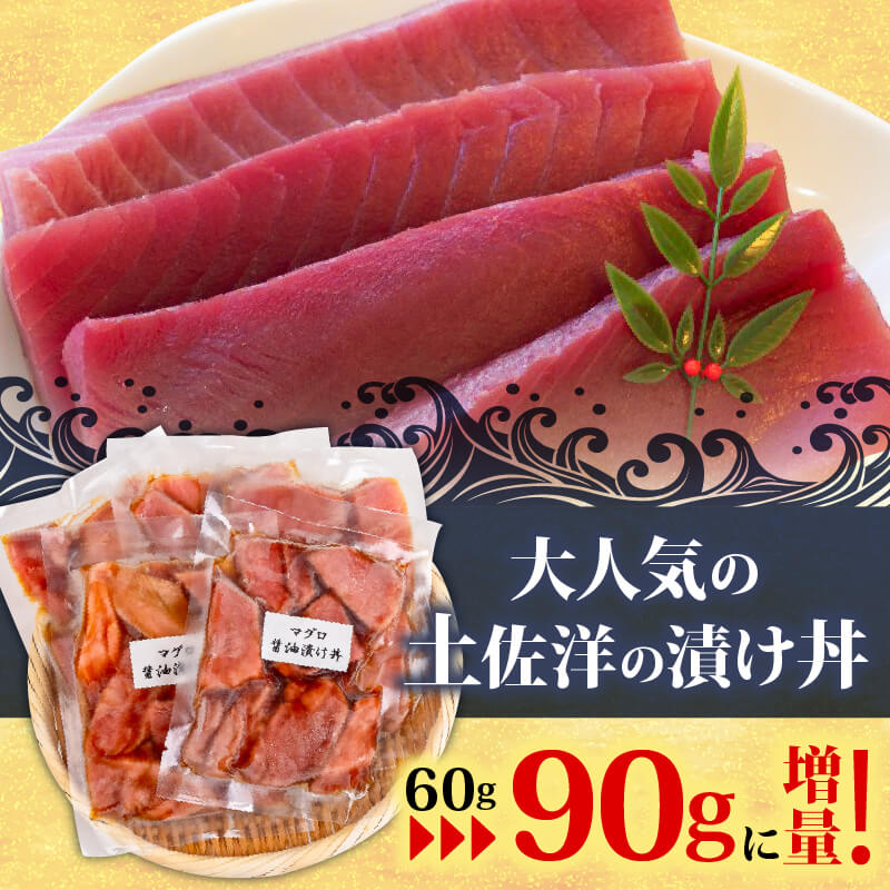 選べる2種の醤油漬け丼セット ( イカ / カジキ / キハダ ) 【お届け日時指定不可】