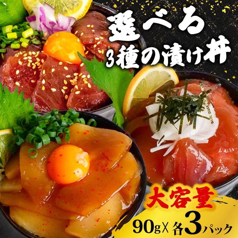 3種の漬け丼 全種類セット ( イカ / カジキ / キハダ )【お届け日時指定不可】