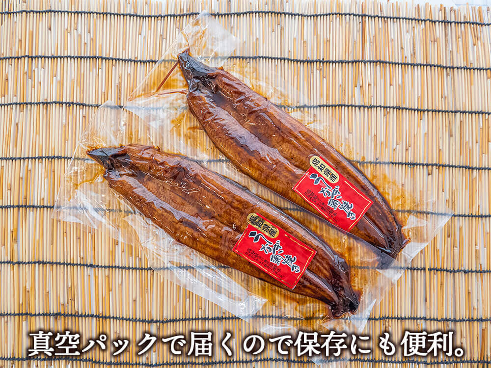 高知県産有頭うなぎ大判サイズ200〜220g 2尾 【お届け日時指定不可】