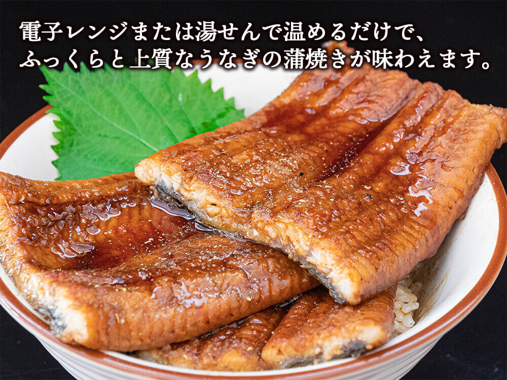 高知県産有頭うなぎ大判サイズ200〜220g 2尾 【お届け日時指定不可】