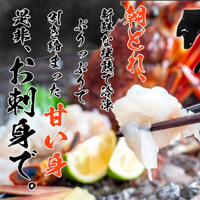 【捌いて発送!】でっかい天然剥き伊勢海老 刺身用
