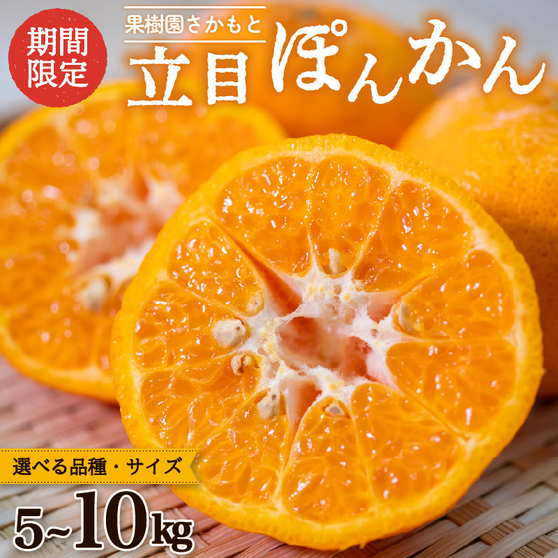 贈答用】立目ぽんかん 5kg / 10kg【1月上旬〜中旬より出荷】【果樹園