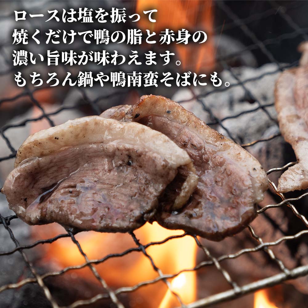 土佐鴨 焼き肉用お肉セット【お届け日指定不可】