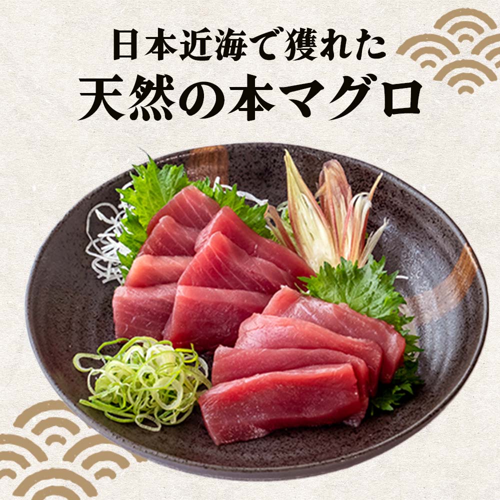 【通常価格より20%OFF】天然本マグロ赤身 450g〜550g【お届け日時指定不可】