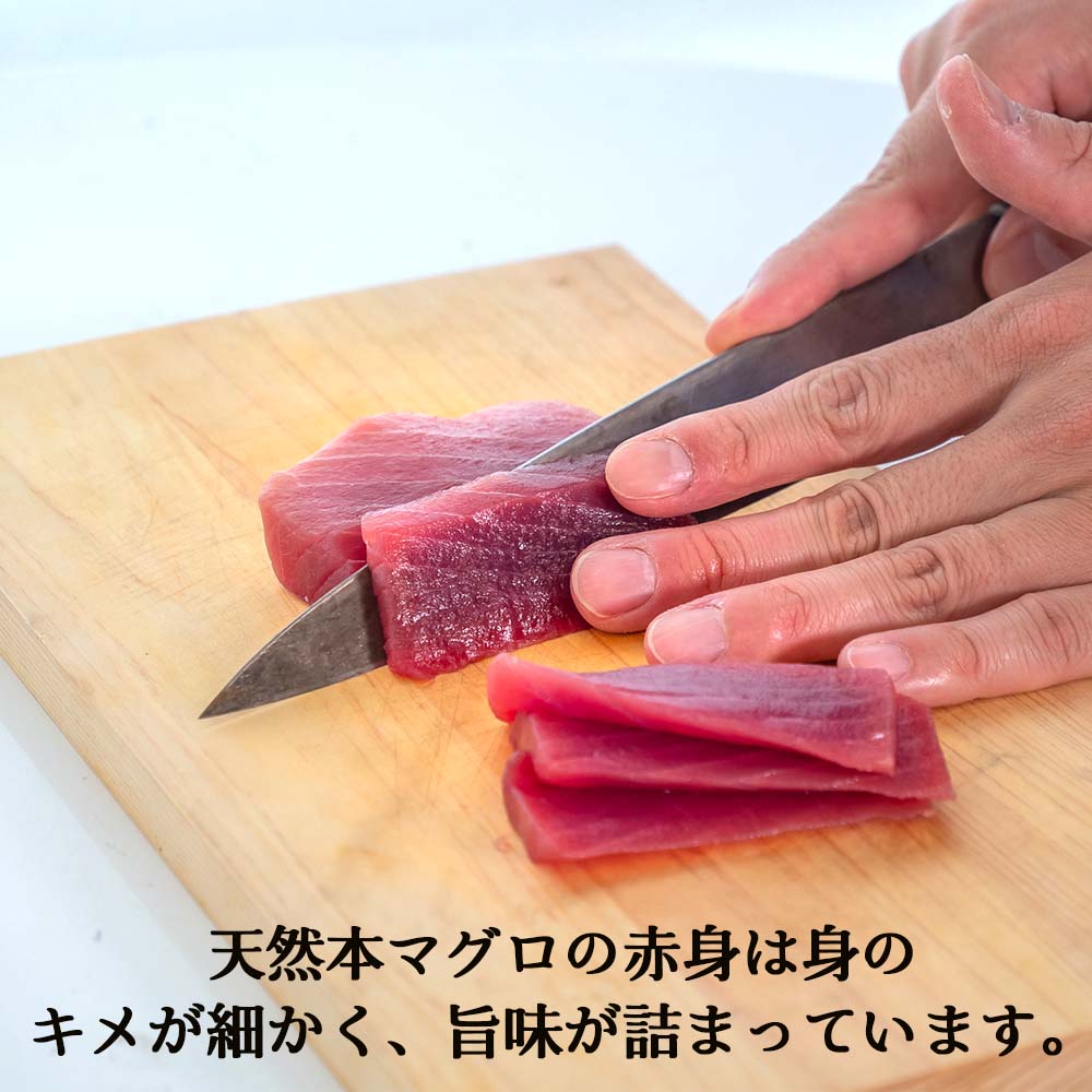 【通常価格より20%OFF】天然本マグロ赤身 450g〜550g【お届け日時指定不可】