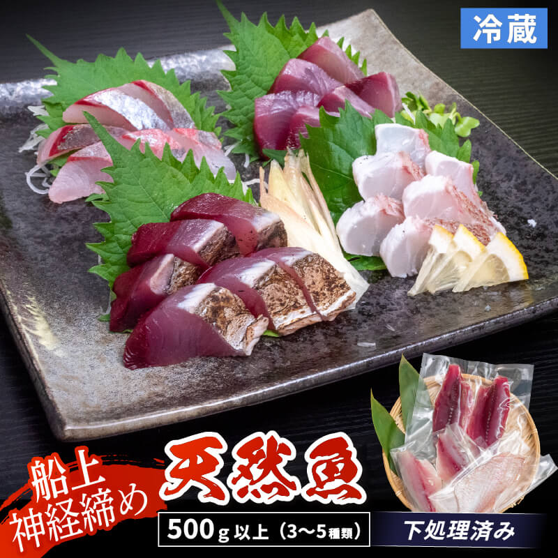 【船上神経締め】高知・須崎の天然魚 フィーレ加工済み 2〜3種類500g以上(冷蔵)【九石大敷組合】【日付指定不可】