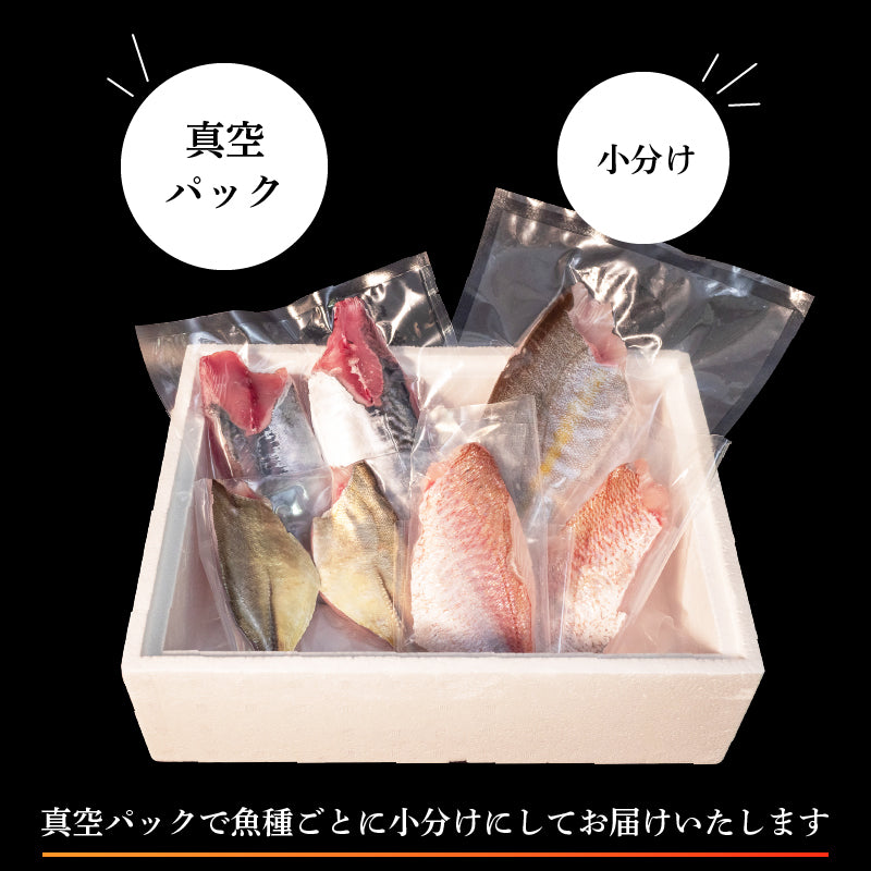 【船上神経締め】高知・須崎の天然魚 フィーレ加工済み 2〜3種類500g以上(冷蔵)【九石大敷組合】【日付指定不可】