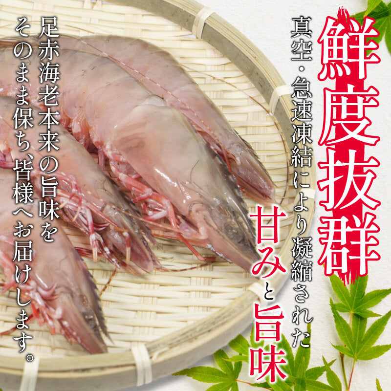 【訳あり】 徳島・小松島産 アシアカエビ 400g