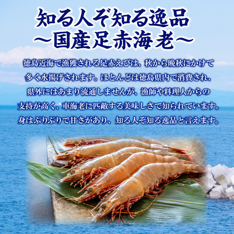 【訳あり】 徳島・小松島産 アシアカエビ 400g