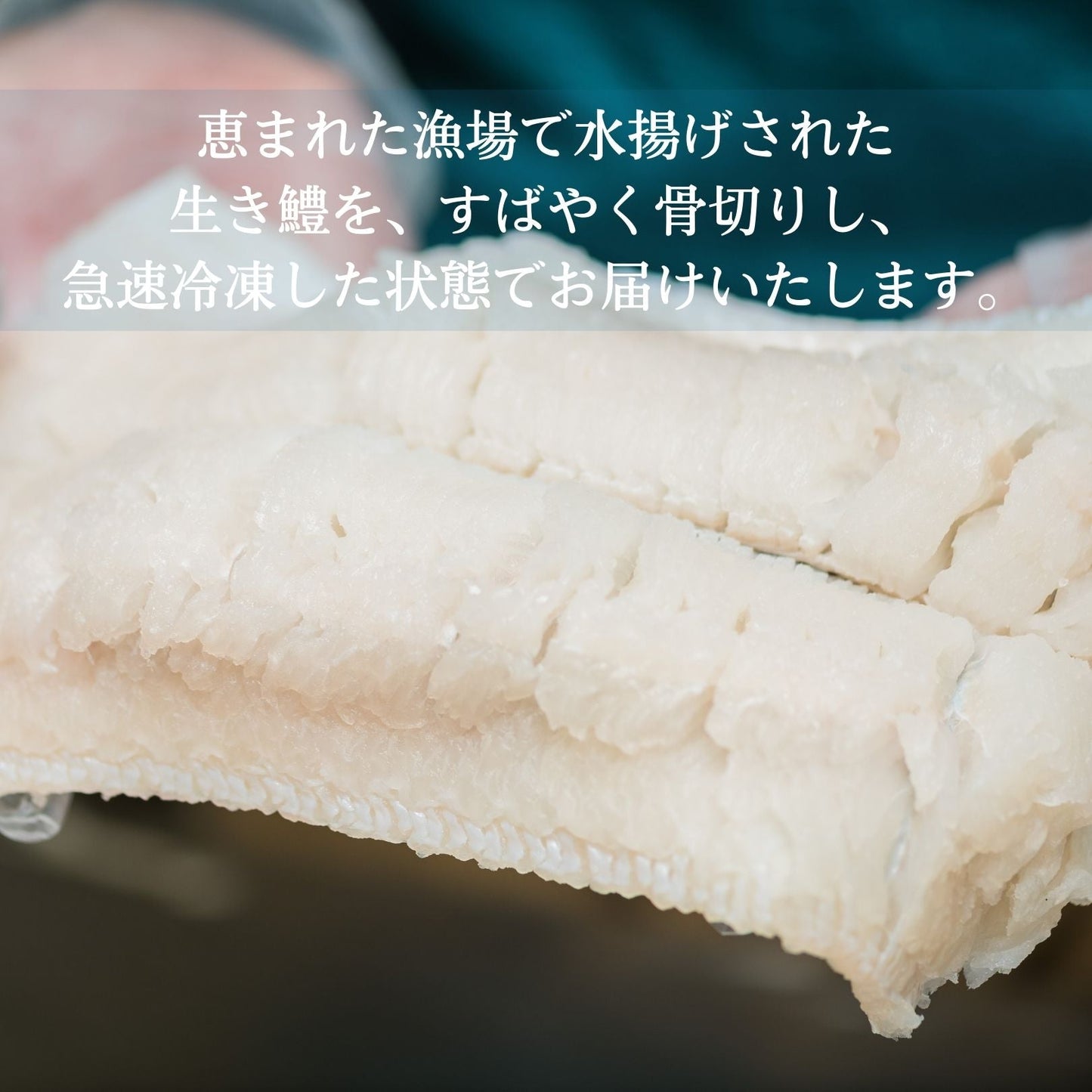 【徳島県・小松島市産】レンジで簡単!鱧の天ぷら