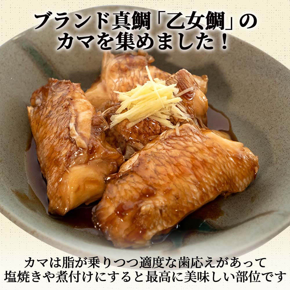 乙女鯛・カマ 5個入り×4パック〜16パック