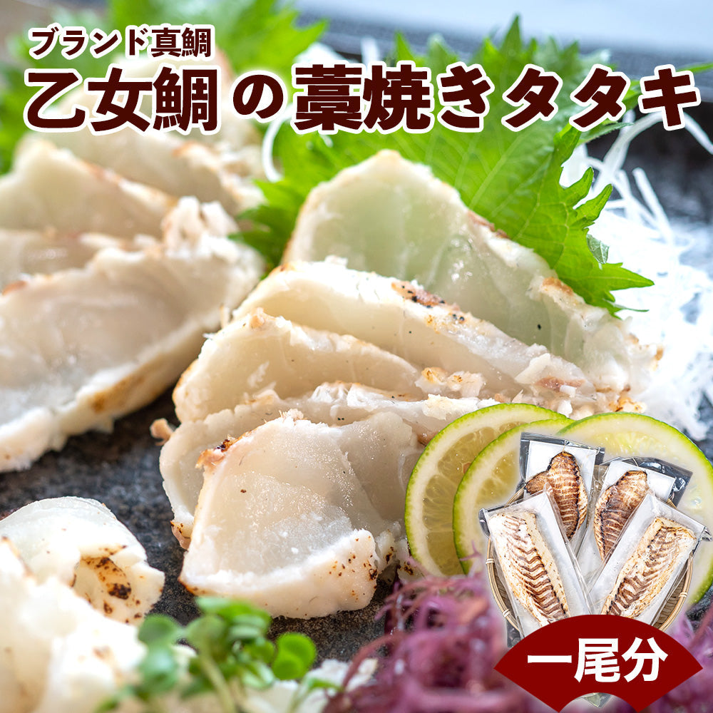 ブランド真鯛「乙女鯛」の藁焼きタタキ