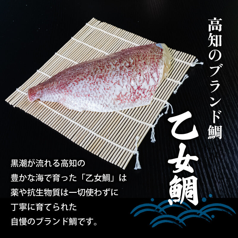 【訳あり】乙女鯛 半身フィーレセット 約1kg(加熱用・皮付き)