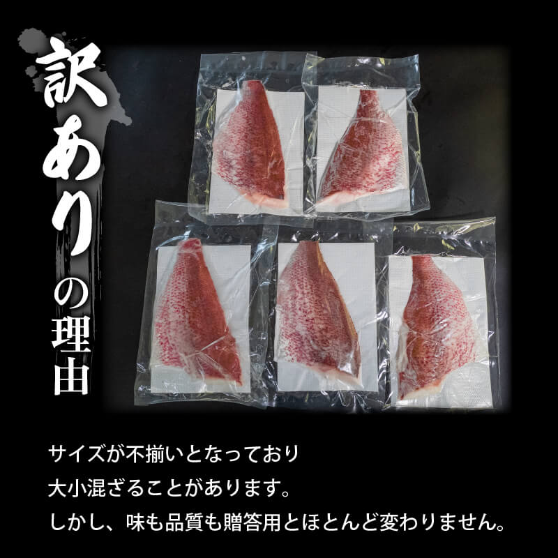 【訳あり】乙女鯛 半身フィーレセット 約1kg(加熱用・皮付き)