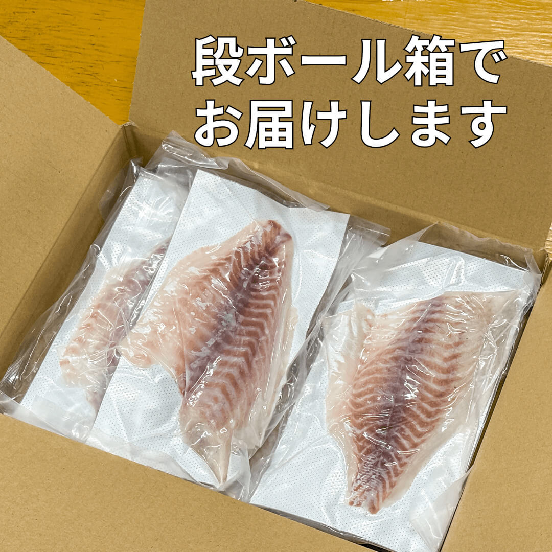 【訳あり】乙女鯛 皮なしフィーレ 加熱用