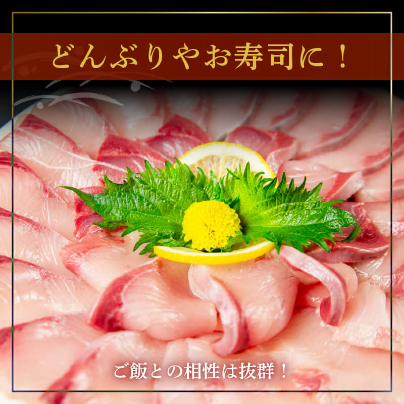 乙女ブリ 1匹まるごと(ラウンド)【鮮魚】【ブリ】