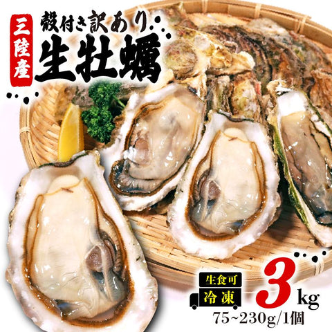 岩手県産 殻付き牡蠣 無選別訳あり品(冷凍・生食可)約3kg【支援金額300円】
