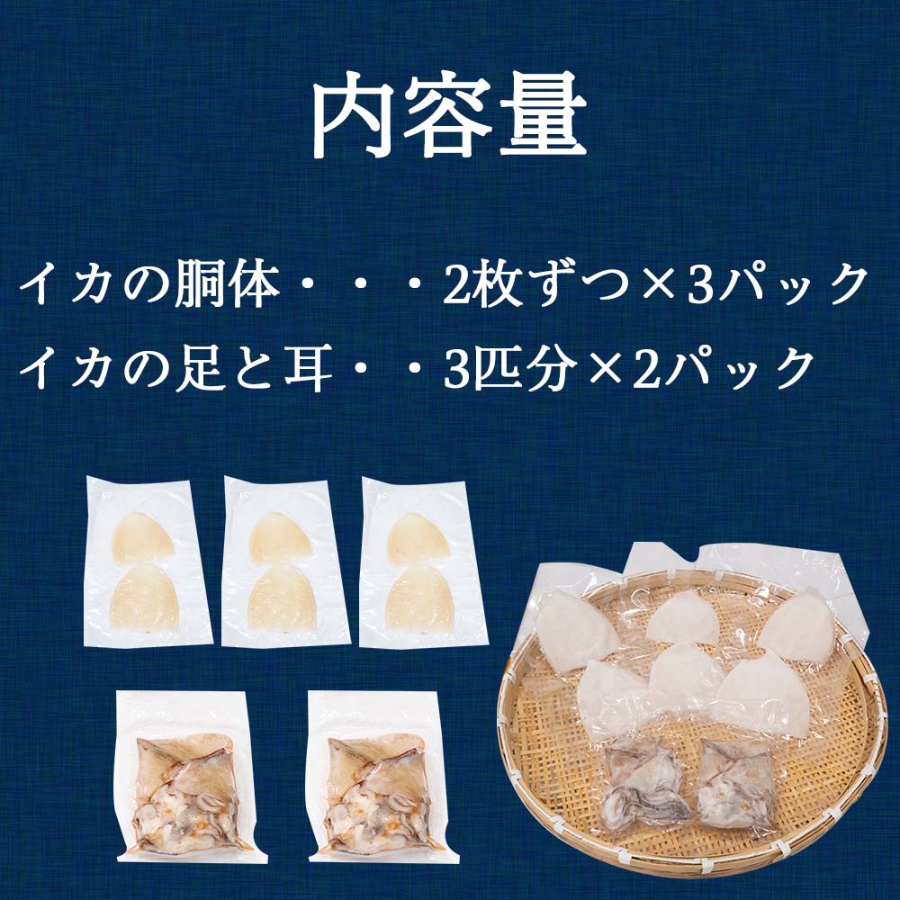 【高知県・加領郷産】スルメイカ刺身用6匹分