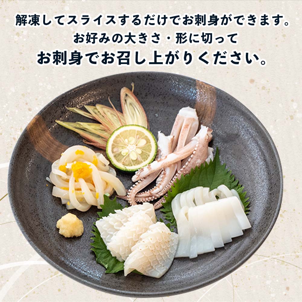 【高知県・加領郷産】スルメイカ刺身用6匹分