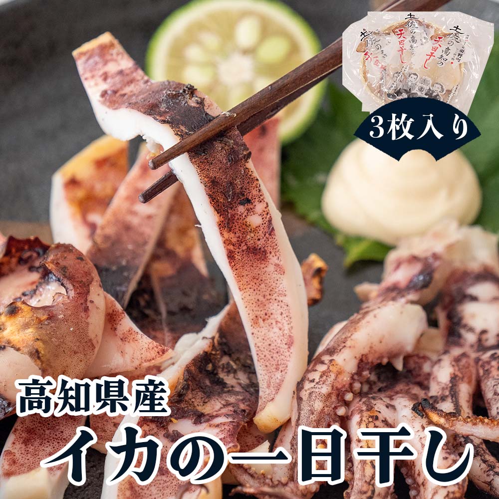 【高知県・加領郷産】スルメイカの一日干し3枚