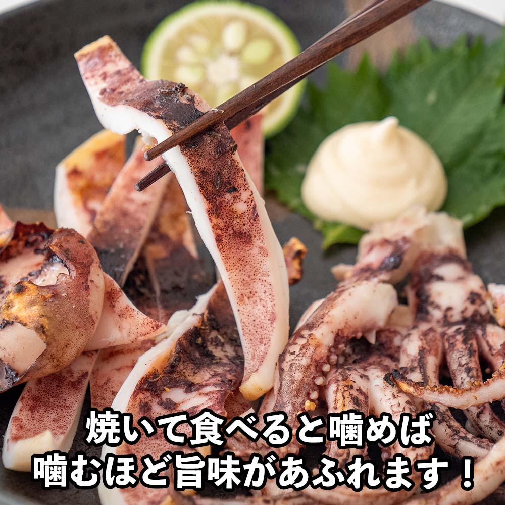 【高知県・加領郷産】スルメイカの一日干し3枚