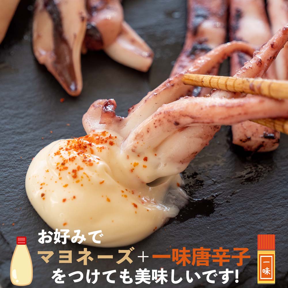 【高知県・加領郷産】スルメイカの一日干し3枚